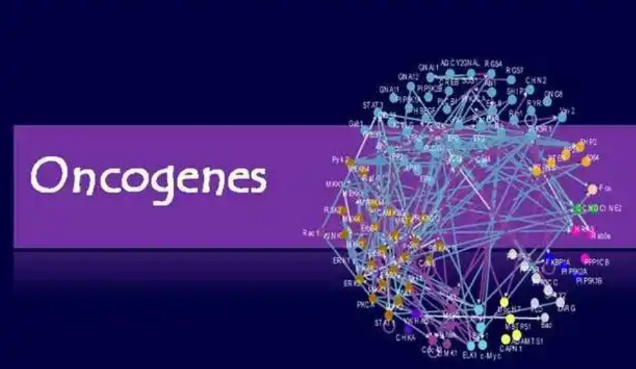 人血管內皮生長因子A(VEGFA)ELISA試劑盒