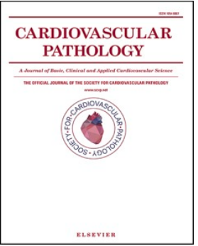 大鼠白介素1β (IL-1β)ELISA試劑盒